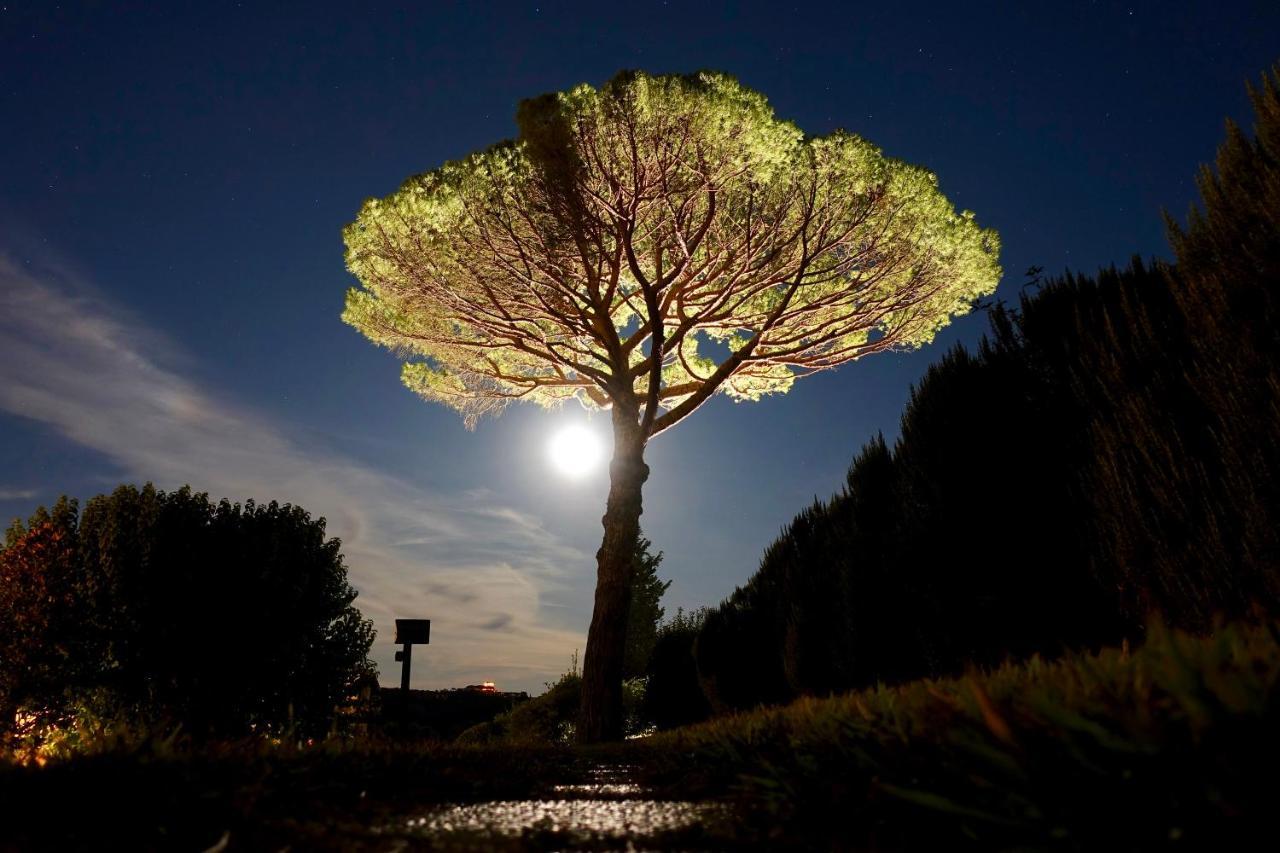 San Giovanni a Corazzano Agriturismo Buon Riposo - Country Resort In The Heart Of Tuscany מראה חיצוני תמונה