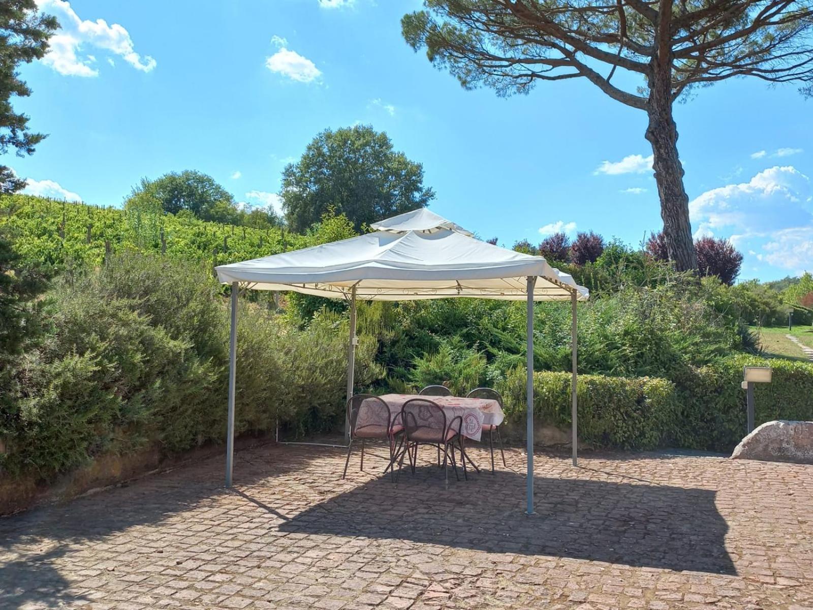 San Giovanni a Corazzano Agriturismo Buon Riposo - Country Resort In The Heart Of Tuscany מראה חיצוני תמונה