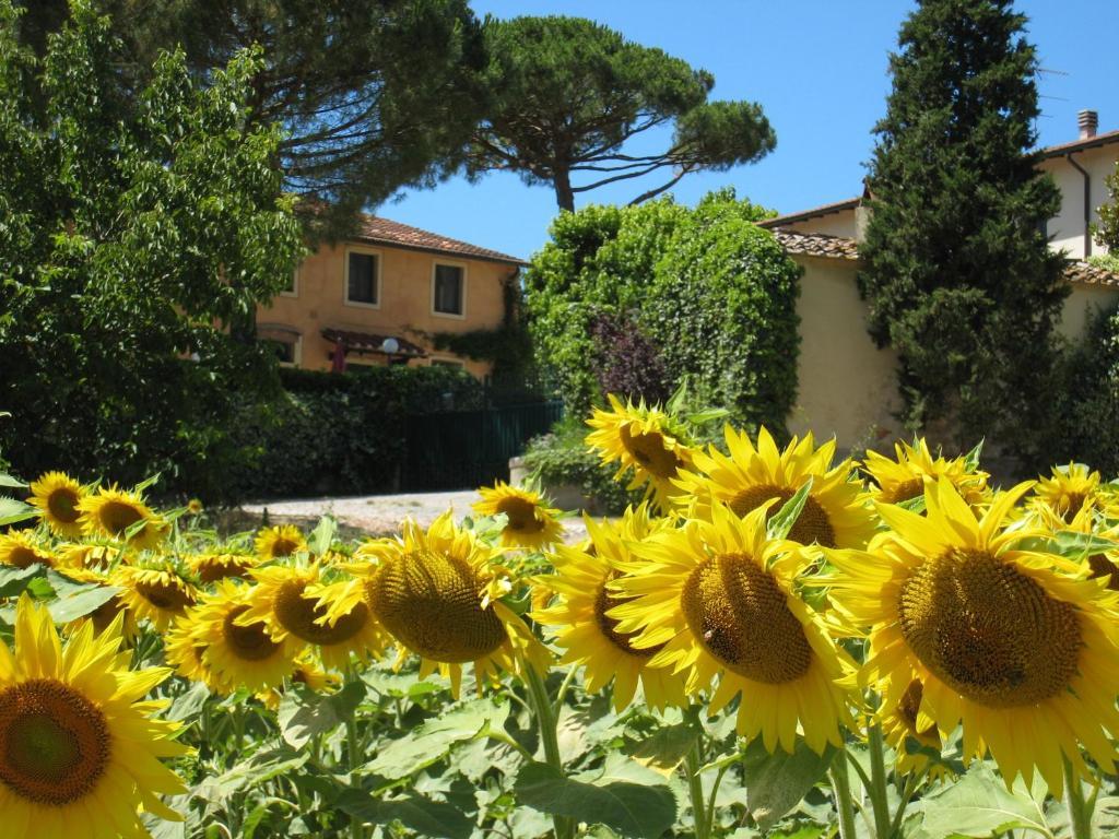San Giovanni a Corazzano Agriturismo Buon Riposo - Country Resort In The Heart Of Tuscany מראה חיצוני תמונה