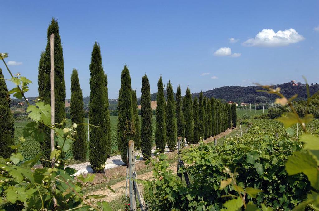 San Giovanni a Corazzano Agriturismo Buon Riposo - Country Resort In The Heart Of Tuscany מראה חיצוני תמונה